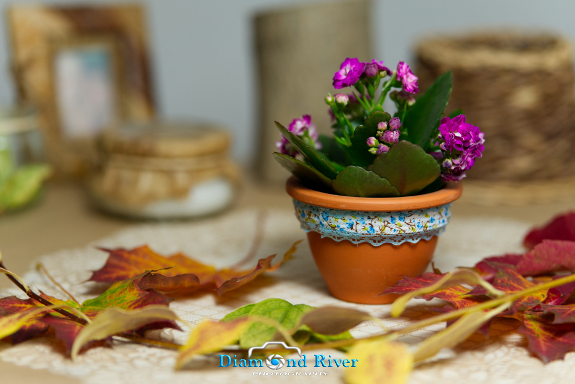 product studio photo - Diamondriverphoto Algarve Albufeira Algarve Portugal